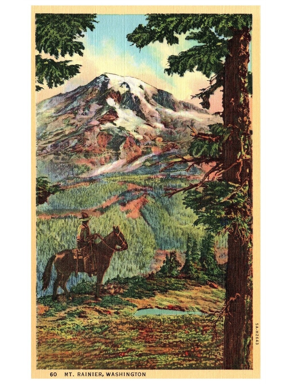 Vintage Postcard Pack Train Trail Mount Rainier Washington Horseback Rider